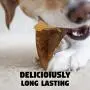 Downtown Pet Supply USA Cow Hooves Dog Treat, Plain and Stuffed, Long Lasting Dental Hoof Chews, 100% Natural Range Beef (5 Pack, 10 Pack, 25 Pack)