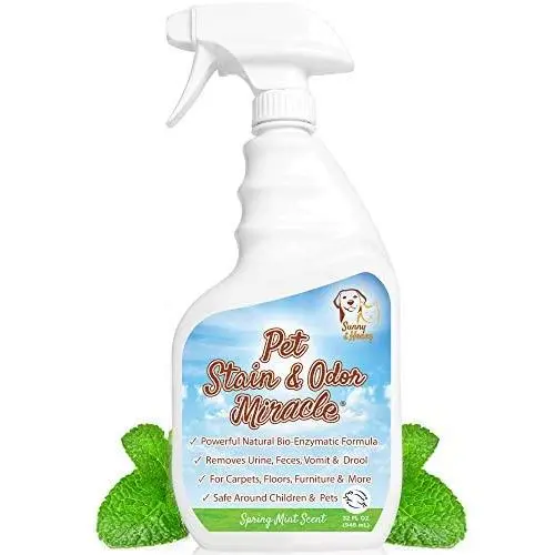 Pet Stain & Odor Miracle - Enzyme Cleaner for Dog and Cat Urine, Feces, Vomit, Drool