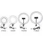 10.2 Inches Ring Light -Dimmable LED Ring Light Kit Photography Light Selfie Fill Light with Mobile Phone Holder for Vlog, Makeup, YouTube, Camera, Photo, Video 10.2 Inches Ring Light -Dimmable LED Ring Light Kit Photography Light Selfie Fill Light with Mobile Phone Holder for Vlog, Makeup, YouTube, Camera, Photo, Video