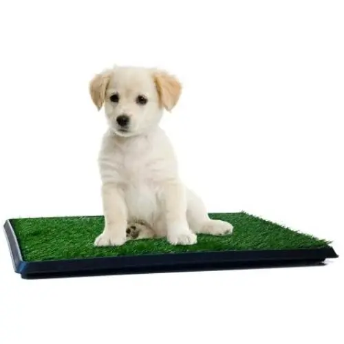 Artificial Grass Bathroom Mat for Puppies and Small Pets- Portable Potty Trainer for Indoor and Outdoor Use Artificial Grass Bathroom Mat for Puppies and Small Pets- Portable Potty Trainer for Indoor and Outdoor Use