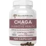 Chaga Extract Mushroom Supplement for Immune Support & Digestion, 120 Caps Organic Chaga Mushroom Powder Capsules, Potent Antioxidant & Immune Booster, Vegan & Non-GMO, Verified Levels of Beta-Glucans Chaga Extract Mushroom Supplement for Immune Support & Digestion, 120 Caps Organic Chaga Mushroom Powder Capsules, Potent Antioxidant & Immune Booster, Vegan & Non-GMO, Verified Levels of Beta-Glucans