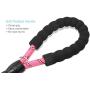 BAAPET 2 Packs 5 FT Strong Dog Leash with Comfortable Padded Handle and Highly Reflective Threads Dog Leashes for Medium and Large Dogs