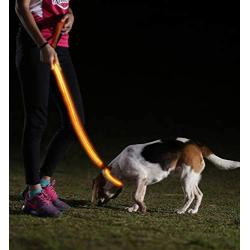 Illumiseen LED Dog Leash - USB Rechargeable - Available in 6 Colors & 2 Sizes - Makes Your Dog Visible, Safe & Seen