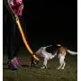 Illumiseen LED Dog Leash - USB Rechargeable - Available in 6 Colors & 2 Sizes - Makes Your Dog Visible, Safe & Seen Illumiseen LED Dog Leash - USB Rechargeable - Available in 6 Colors & 2 Sizes - Makes Your Dog Visible, Safe & Seen