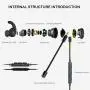 Wired Gaming Earphone, Megadream Noise Cancelling Stereo Bass Gaming Earbuds E-Sport Earphone with Detachable Adjustable Mic, 3.5mm Jack, Desktop Adapter, for PS4/Xbox One/Laptop/Cellphone (Green) Wired Gaming Earphone, Megadream Noise Cancelling Stereo Bass Gaming Earbuds E-Sport Earphone with Detachable Adjustable Mic, 3.5mm Jack, Desktop Adapter, for PS4/Xbox One/Laptop/Cellphone (Green)