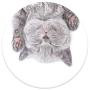 PopSockets: PopGrip with Swappable Top for Phones and Tablets - Cat Nap