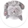PopSockets: PopGrip with Swappable Top for Phones and Tablets - Cat Nap PopSockets: PopGrip with Swappable Top for Phones and Tablets - Cat Nap