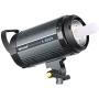 Neewer S300N Professional Studio Monolight Strobe Flash Light-300W 5600K with Modeling Lamp,Aluminium Alloy Professional Speedlite for Indoor Studio Location Model Photography and Portrait Photography