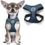 BINGPET Soft Mesh Dog Harness Pet Walking Vest Puppy Padded Harnesses Adjustable BINGPET Soft Mesh Dog Harness Pet Walking Vest Puppy Padded Harnesses Adjustable