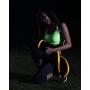 Illumiseen LED Dog Collar - USB Rechargeable - Available in 6 Colors & 6 Sizes - Makes Your Dog Visible, Safe & Seen