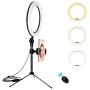Desk Ring Light with Stand and Phone Holder,10 Inch Halo Light Ring for Video Recording, Webcam, TIK Tok, Live Streaming, Vlog, Photography, Camera, Makeup