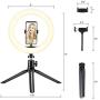 Cliusnra LED Selfie Ring Light: 7.9" Small Tripod Stand Phone Holder Kit YouTube Video iPhone Ipad Photography Photo Vlog Makeup Dimmable Warm/White/Natural O-Light Desk Floor Large USB Halo Lamp