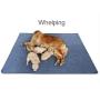 Upgrade Non-Slip Dog Pads Extra Large 72" x 72", Washable Puppy Pads with Fast Absorbent, Reusable, Waterproof for Training, Travel, Whelping, Housebreaking, Incontinence, for Playpen, Crate