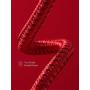 Anker Powerline+ II Lightning Cable (6ft), MFi Certified for Flawless Compatibility with iPhone X/8/8 Plus/7/7 Plus/6/6 Plus/5/5S and More(Red)