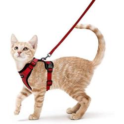 rabbitgoo Cat Harness and Leash for Walking, Escape Proof Soft Adjustable Vest Harnesses for Medium Large Cats, Easy Control Breathable Pet Safety Jacket with Reflective Strips & 1 Metal Leash Ring