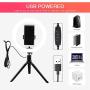 LED 10" Ring Light with Tripod Stand & Phone Holder，Adjustable LED Makeup Ring Light，10 Brightness Level & 3 Light Modes, Used for Live Streaming/Makeup/Photography (10 inches)