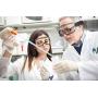 PROTECTIVE EQUIP Safety Goggles Clear Anti Fog Safety Glasses for Eye Protection, Chemistry Goggles for Lab Safety, Protective Eye Wear Goggles for Eye Safety, Multiuse (MEDIUM)