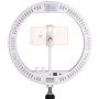 AW 13" Dimmable LED Ring Light RGB with Tripod Stand Ball Head Phone Holder Remote for Photo Makeup Video 6500K