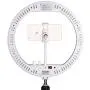 AW 13" Dimmable LED Ring Light RGB with Tripod Stand Ball Head Phone Holder Remote for Photo Makeup Video 6500K AW 13" Dimmable LED Ring Light RGB with Tripod Stand Ball Head Phone Holder Remote for Photo Makeup Video 6500K