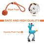 Toozey Small Dog Toys for Puppies with 3 Pack, Stuffless Crinkle Puppy Toys, Plush Puppy Teething Toys, and Natural Cotton Rope Toys for Small Dogs and Puppies, Healthy and Durable Toozey Small Dog Toys for Puppies with 3 Pack, Stuffless Crinkle Puppy Toys, Plush Puppy Teething Toys, and Natural Cotton Rope Toys for Small Dogs and Puppies, Healthy and Durable