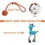 Toozey Small Dog Toys for Puppies with 3 Pack, Stuffless Crinkle Puppy Toys, Plush Puppy Teething Toys, and Natural Cotton Rope Toys for Small Dogs and Puppies, Healthy and Durable