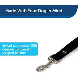 PetSafe Nylon Dog Leash, Strong, Durable, Traditional Style Leash with Easy to Use Bolt Snap - Available in Multiple Widths and Colors