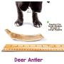 Nature Gnaws Deer Antlers for Small Dogs - Premium Natural USA Antler - Long Lasting Dog Chews for Aggressive Chewers - Mix of Split and Whole - 4-7 Inch