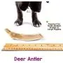 Nature Gnaws Deer Antlers for Small Dogs - Premium Natural USA Antler - Long Lasting Dog Chews for Aggressive Chewers - Mix of Split and Whole - 4-7 Inch Nature Gnaws Deer Antlers for Small Dogs - Premium Natural USA Antler - Long Lasting Dog Chews for Aggressive Chewers - Mix of Split and Whole - 4-7 Inch