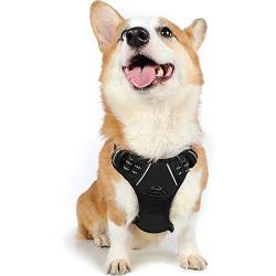 rabbitgoo Dog Harness, No-Pull Pet Harness with 2 Leash Clips, Adjustable Soft Padded Dog Vest, Reflective No-Choke Pet Oxford Vest w/Easy Control Handle for Medium Dogs, Black, M (Chest 19.1-29.3")