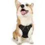 rabbitgoo Dog Harness, No-Pull Pet Harness with 2 Leash Clips, Adjustable Soft Padded Dog Vest, Reflective No-Choke Pet Oxford Vest w/Easy Control Handle for Medium Dogs, Black, M (Chest 19.1-29.3")