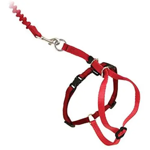 PetSafe Come with Me Kitty Harness and Bungee Leash, Harness for Cats PetSafe Come with Me Kitty Harness and Bungee Leash, Harness for Cats