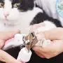 Alidu Pet Dog Nail Clippers Trimmers Cat Nail Clippers with Safety Guard Pet Dog Nail Trimmers for Small Dogs Cats and Pets Supplies.