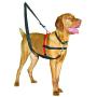 The Company of Animals Pet Harness