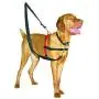 The Company of Animals Pet Harness The Company of Animals Pet Harness