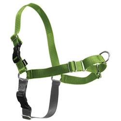 PetSafe Easy Walk Dog Harness, No Pull Dog Harness, Apple Green/Gray, Medium