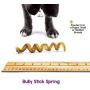 Nature Gnaws Bully Stick Springs for Dogs - Premium Natural Beef Bones - Long Lasting Spiral Dog Chew Treats - Rawhide Free - 7-10 Inch