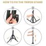 8" LED Selfie Ring Light with Tripod Stand & Phone Holder for Live Streaming & YouTube Video & Vlogs, Dimmable Makeup Ring Light for Photography, Shooting with 10 Brightness Level & 3 Light Modes