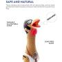 Charming Pet Henrietta Latex Rubber Squawking Chicken Dog Toy, Small Charming Pet Henrietta Latex Rubber Squawking Chicken Dog Toy, Small