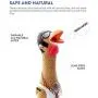Charming Pet Henrietta Latex Rubber Squawking Chicken Dog Toy, Small