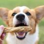 Nature Gnaws Tripe Twists for Dogs - Premium Natural Beef Sticks - Simple Single Ingredient Crunchy Dog Chew Treats - Rawhide Free