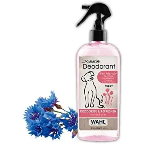 Wahl Cornflower Aloe Pet Deodorant for Dogs & Puppies – Clean Fresh Smell for Refreshing & Deodorizing – 8 Oz Wahl Cornflower Aloe Pet Deodorant for Dogs & Puppies – Clean Fresh Smell for Refreshing & Deodorizing – 8 Oz