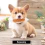 Nocciola 12 Pack Dog Squeaky Toys Cute Plush Toys for Small Medium Dog|Pet Toys|Squeaky Toys|Plush Games| Carry Bag