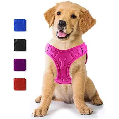 metric usa / Comfort Fit Pets Lightweight Soft Padded No Pull Small Dog Harness Vest ● Easy to Put on & Take Off ● Interior & Exterior Padded Puppy Harness ● Ensures Your Dog is Cool & Comfortable metric usa / Comfort Fit Pets Lightweight Soft Padded No Pull Small Dog Harness Vest ● Easy to Put on & Take Off ● Interior & Exterior Padded Puppy Harness ● Ensures Your Dog is Cool & Comfortable