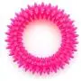 Best Pet Supplies, Inc. Pet Rubber Chew Toy