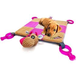 HOUNDGAMES Puppy Toy Mat with Teething Chew Toys (20” x 20”) - Ropes, Squeaker Nose, Plush Padded Sleeping Mat – Durable and Machine Washable - Comfort and Fun, All-in-One