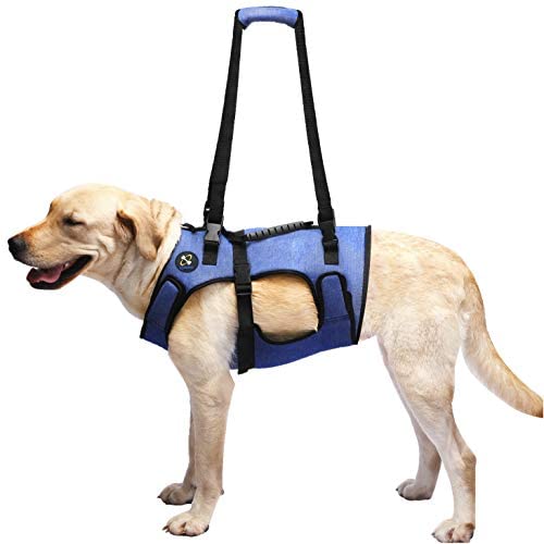 COODEO Dog Lift Harness, Full Body Support & Recovery Sling, Pet Rehabilitation Lifts Vest Adjustable Breathable Straps for Old, Disabled, Joint Injuries, Arthritis, Paralysis Dogs Walk