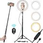 10" Selfie Ring Light with Tripod Stand & Cell Phone Holder for Live Stream/Makeup | Dimmable Mini Floor Table Camera Ringlight for YouTube TikTok Video/Photography