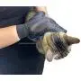 Ravazzi Pet Grooming Glove - Gentle Deshedding Brush Glove - Best Pet Hair Remover Mitt - Perfect for Dog or Cat with Long or Short Fur - 1 Pair Blue