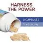 Host Defense, Stamets 7 Capsules, Daily Immune Support, Mushroom Supplement with Lion’s Mane, Reishi, Vegan, Organic, 120 Capsules (60 Servings) Host Defense, Stamets 7 Capsules, Daily Immune Support, Mushroom Supplement with Lion’s Mane, Reishi, Vegan, Organic, 120 Capsules (60 Servings)