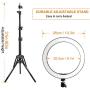 10" LED Ring Light with Tripod Stand & Dimmable Brightness, Selfie Ring Light with Phone Holder for Live Streaming, Makeup, YouTube, Photography Compatible with iPhone & Android